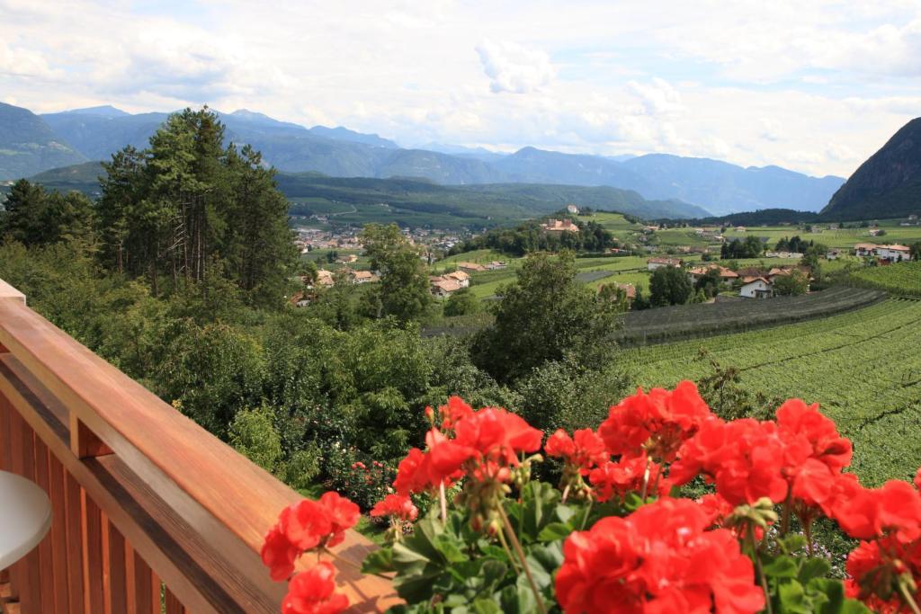 Kreuzstein Bed&Breakfast Appiano Sulla Strada Del Vino Room photo